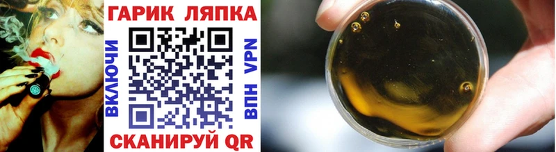 ГАШ Изолятор  Дубна 