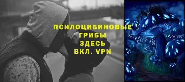 прущие грибы Магадан