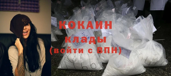 прущие грибы Магадан