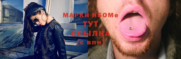 прущие грибы Магадан
