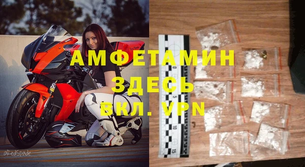 прущие грибы Магадан