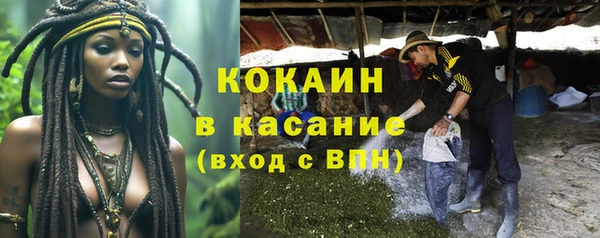 мдпв Майский
