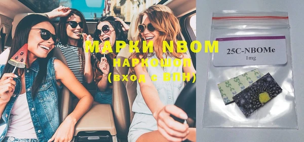 прущие грибы Магадан