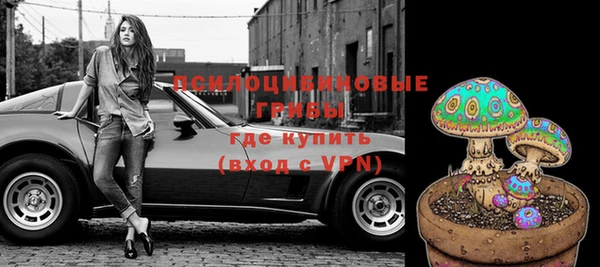 мдпв Майский