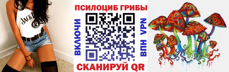 Псилоцибиновые грибы Psilocybine cubensis  Дубна 