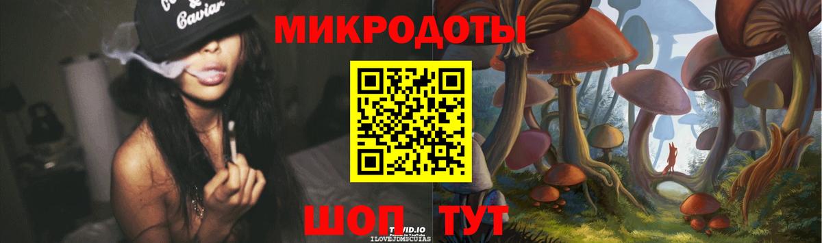Галлюциногенные грибы Psilocybe  Вход с VPN  Дубна 