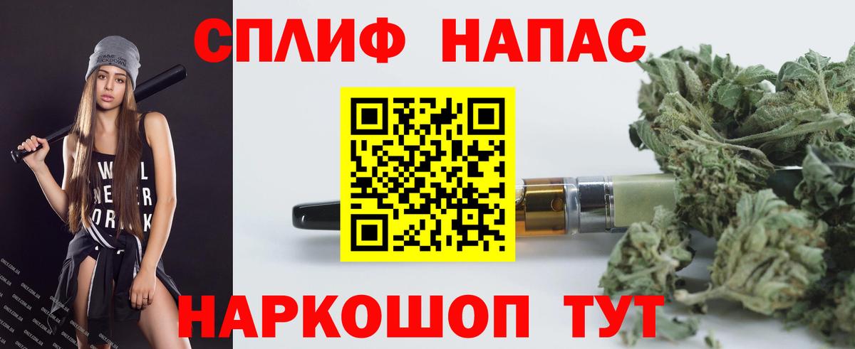 МАРИХУАНА сатива Дубна